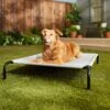 Frisco Steel-Framed Elevated Dog Bed -Dog Supplies Sale 112076 MAIN. AC SS1800 V1674156718