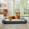 Frisco Plush Orthopedic Bolster Dog Bed W/Removable Cover -Dog Supplies Sale 129511 MAIN. AC SS1800 V1674157635