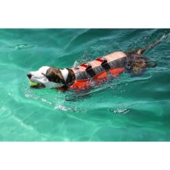 Frisco Ripstop Dog Life Jacket -Dog Supplies Sale 140919 PT8. AC SS1800 V1540476454