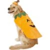 Frisco Pumpkin Dog & Cat Costume -Dog Supplies Sale 144446 MAIN. AC SS1800 V1540495184