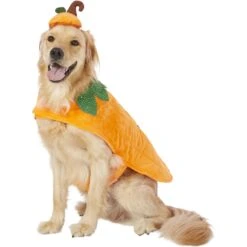 Frisco Pumpkin Dog & Cat Costume -Dog Supplies Sale 144446 PT2. AC SS1800 V1567174700