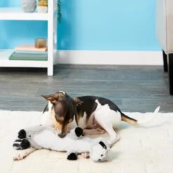 Frisco Raccoon Skinny Plush Squeaky Dog Toy -Dog Supplies Sale 147045 PT1. AC SS1800 V1539205362