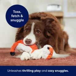 Frisco Fox Skinny Plush Squeaky Dog Toy -Dog Supplies Sale 147049 PT5. AC SS1800 V1691776638