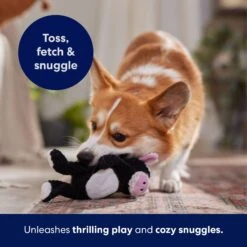 Frisco Cow Textured Plush Squeaky Dog Toy -Dog Supplies Sale 147059 PT5. AC SS1800 V1691776636