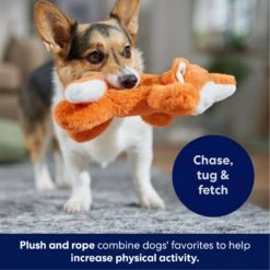 Frisco Fox Plush With Inside Rope Squeaky Dog Toy -Dog Supplies Sale 147065 PT4. AC SS1800 V1695671059