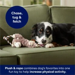 Frisco Monkey Plush With Rope Squeaky Dog Toy -Dog Supplies Sale 147067 PT4. AC SS1800 V1686079871