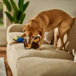 Frisco Duck Flat Plush Squeaky Dog Toy -Dog Supplies Sale 147069 PT3. AC SS1800 V1674158058