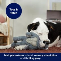 Frisco Wolf Muscle Plush Squeaky Dog Toy -Dog Supplies Sale 147082 PT5. AC SS1800 V1691776574