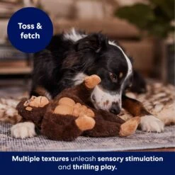 Frisco Gorilla Muscle Plush Squeaky Dog Toy -Dog Supplies Sale 147084 PT5. AC SS1800 V1694182068