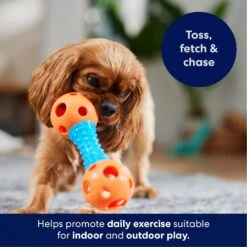 Frisco Dumbbell TPR Fetch Dog Toy -Dog Supplies Sale 147108 PT3. AC SS1800 V1695241969