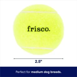 Frisco Fetch Squeaky Tennis Ball Dog Toy -Dog Supplies Sale 152803 PT1. AC SS1800 V1691776636