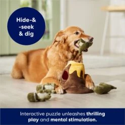 Frisco Volcano Hide & Seek Puzzle Plush Squeaky Dog Toy 10 Frisco Volcano Hide & Seek Puzzle Plush Squeaky Dog Toy -Dog Supplies Sale 152810 PT3. AC SS1800 V1686079871