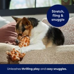 Frisco Giraffe Bungee Plush Squeaky Dog Toy -Dog Supplies Sale 152822 PT5. AC SS1800 V1691776644