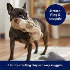 Frisco Beaver Bungee Plush Squeaky Dog Toy -Dog Supplies Sale 152824 PT5. AC SS1800 V1686580146