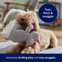 Frisco Rhino Corduroy Plush Squeaky Dog Toy 12 Frisco Rhino Corduroy Plush Squeaky Dog Toy -Dog Supplies Sale 152828 PT4. AC SS1800 V1695659205