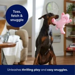 Frisco Corduroy Plush Squeaking Pig Dog Toy -Dog Supplies Sale 152832 PT4. AC SS1800 V1695671001