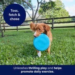 Frisco Fetch Rubber Flyer Dog Toy -Dog Supplies Sale 152848 PT5. AC SS1800 V1692370079