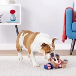 Frisco American Flag Bear Plush Squeaky Dog Toy -Dog Supplies Sale 157187 PT2. AC SS1800 V1559764047