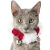 Frisco Jingle Bells Dog & Cat Holiday Collar With Bells, 1 Count -Dog Supplies Sale 160063 MAIN. AC SS1800 V1663948848