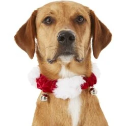 Frisco Jingle Bells Dog & Cat Holiday Collar With Bells, 1 Count -Dog Supplies Sale 160063 PT2. AC SS1800 V1669101088