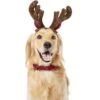 Frisco Holiday Antler Headband & Bell Collar Dog & Cat Costume -Dog Supplies Sale 160658 Main. AC SS1800 V1568818034