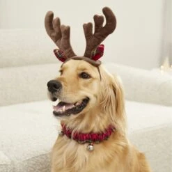 Frisco Holiday Antler Headband & Bell Collar Dog & Cat Costume -Dog Supplies Sale 160658 PT4. AC SS1800 V1568818037
