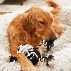 Frisco Halloween Skeleton Plush With Rope Squeaky Dog Toy -Dog Supplies Sale 161358 PT6. AC SS1800 V1597599370