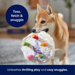 Frisco Birthday Cake Plush Squeaky Dog Toy -Dog Supplies Sale 162839 PT4. AC SS1800 V1695671061