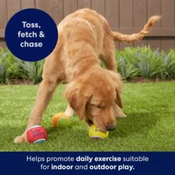 Frisco Birthday Fetch Squeaky Tennis Ball Dog Toy -Dog Supplies Sale 162914 PT5. AC SS1800 V1692020098