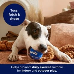 Frisco Chewy Fetch Squeaky Tennis Ball Dog Toy -Dog Supplies Sale 164314 PT5. AC SS1800 V1691783910