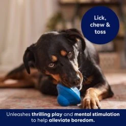 Frisco Flying Saucer Rubber Treat Dispenser Dog Toy -Dog Supplies Sale 164757 PT5. AC SS1800 V1691784247