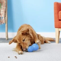 Frisco Snowman Rubber Treat Dispenser Dog Toy -Dog Supplies Sale 164769 PT4. AC SS1800 V1563808954