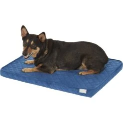 Frisco Quilted Orthopedic Pillow Cat & Dog Bed W/Removable Cover -Dog Supplies Sale 165196 PT2. AC SS1800 V1568726226