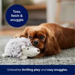 Frisco Hedgehog Plush Squeaky Dog Toy -Dog Supplies Sale 174678 PT4. AC SS1800 V1695670748