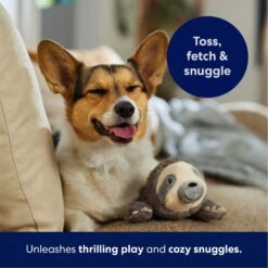 Frisco Sloth Plush Squeaky Dog Toy -Dog Supplies Sale 174681 PT4. AC SS1800 V1695671029