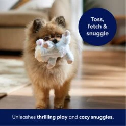 Frisco Lamb Plush Squeaky Dog Toy -Dog Supplies Sale 174686 PT4. AC SS1800 V1695659156