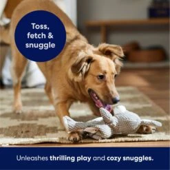 Frisco Bunny Textured Plush Squeaky Dog Toy -Dog Supplies Sale 174693 PT4. AC SS1800 V1695671088