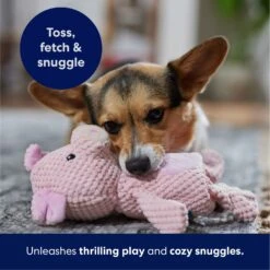 Frisco Pig Textured Plush Squeaky Dog Toy 12 Frisco Pig Textured Plush Squeaky Dog Toy -Dog Supplies Sale 174695 PT4. AC SS1800 V1695670689
