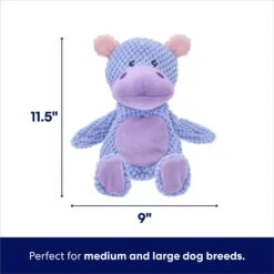 Frisco Hippo Textured Plush Squeaky Dog Toy -Dog Supplies Sale 174697 PT1. AC SS1800 V1695659154
