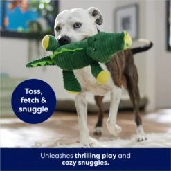 Frisco Alligator Corduroy Plush Squeaky Dog Toy -Dog Supplies Sale 174705 PT5. AC SS1800 V1686580081
