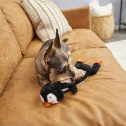 Frisco Penguin Skinny Plush Squeaky Dog Toy -Dog Supplies Sale 174707 PT2. AC SS1800 V1573492672