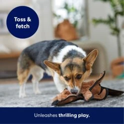 Frisco Beaver Stuffing-Free Flat Plush Squeaky Dog Toy -Dog Supplies Sale 174729 PT4. AC SS1800 V1695671063