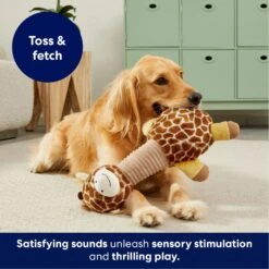 Frisco Giraffe Bobberz Plush Squeaky Dog Toy -Dog Supplies Sale 174739 PT4. AC SS1800 V1695748355