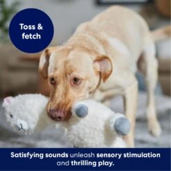 Frisco Llama Bobberz Plush Squeaky Dog Toy -Dog Supplies Sale 174741 PT4. AC SS1800 V1695671063