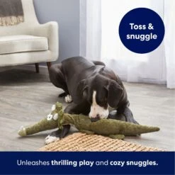 Frisco Triceratops Wagazoo Plush Squeaky Dog Toy -Dog Supplies Sale 174747 PT4. AC SS1800 V1695748419