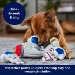 Frisco Rocket Ship Hide & Seek Puzzle Plush Squeaky Dog Toy -Dog Supplies Sale 174753 PT4. AC SS1800 V1695670750