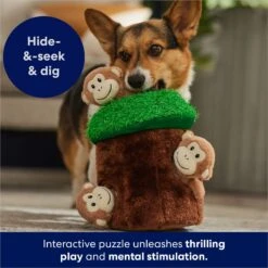 Frisco Monkeys In Tree Hide & Seek Puzzle Plush Squeaky Dog Toy -Dog Supplies Sale 174759 PT5. AC SS1800 V1702598595