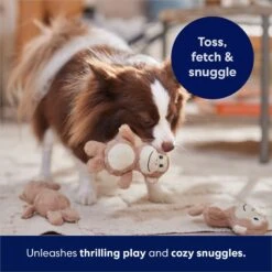 Frisco Monkeys In Tree Hide & Seek Puzzle Plush Squeaky Dog Toy Refills -Dog Supplies Sale 174768 PT5. AC SS1800 V1691784249