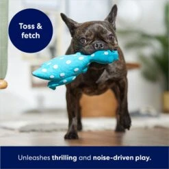 Frisco Dinosaur Latex Squeaky Dog Toy -Dog Supplies Sale 174770 PT3. AC SS1800 V1686579138