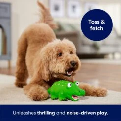 Frisco Alligator Latex Squeaky Dog Toy -Dog Supplies Sale 174772 PT3. AC SS1800 V1686579212